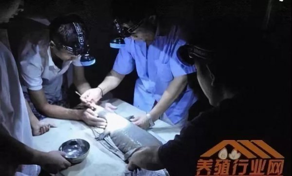 資本試水區(qū)塊鏈生物科技+大健康，場(chǎng)景應(yīng)用時(shí)代已然來(lái)臨！